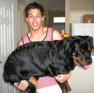 Meet your Posher, Cody